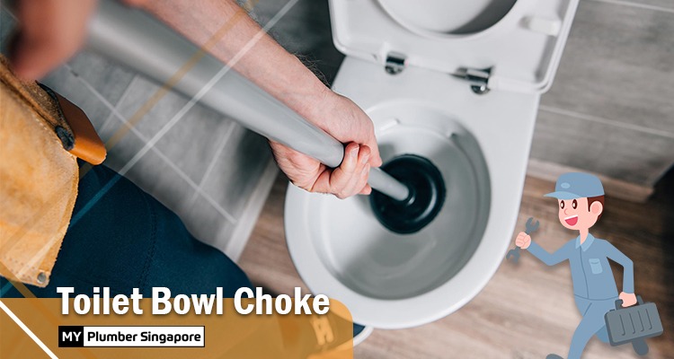 toilet bowl choke