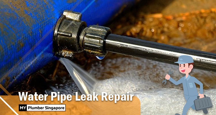 water pipe leak repair