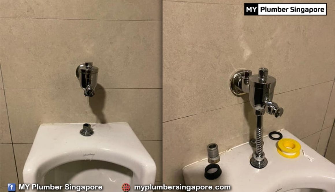 flushing system