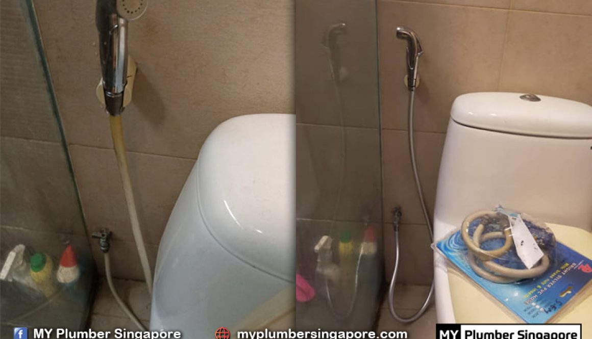 plumber toilet