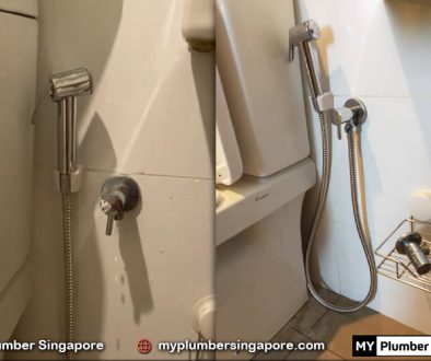 plumber singapore cost