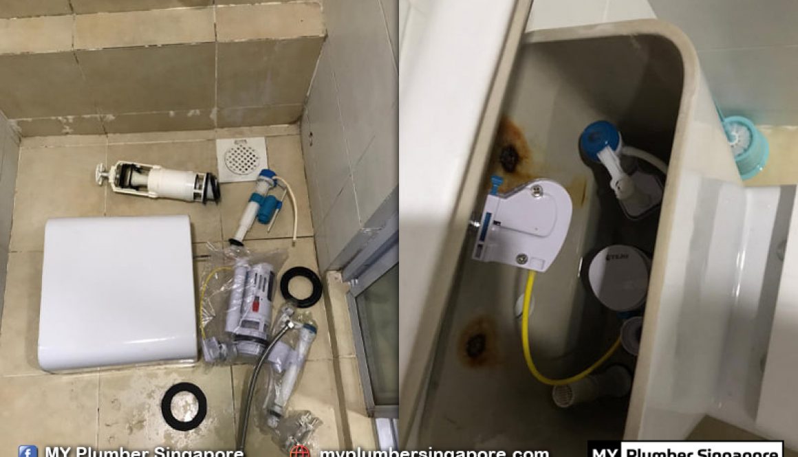 plumber service near me