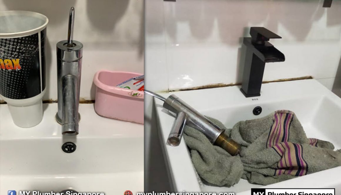 plumber toilet