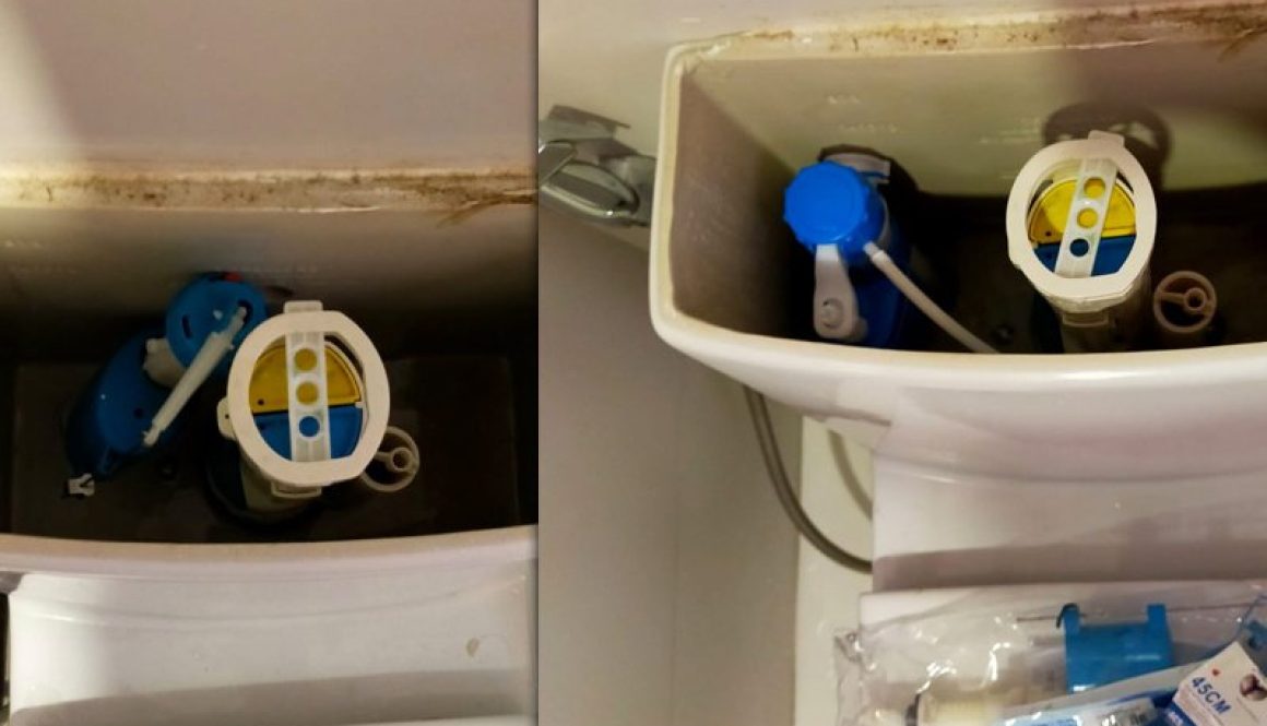 plumber-toilet