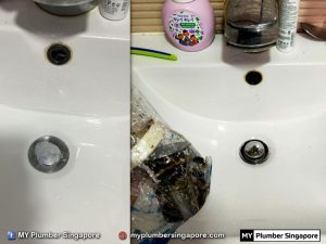 toilet-plumber-singapore